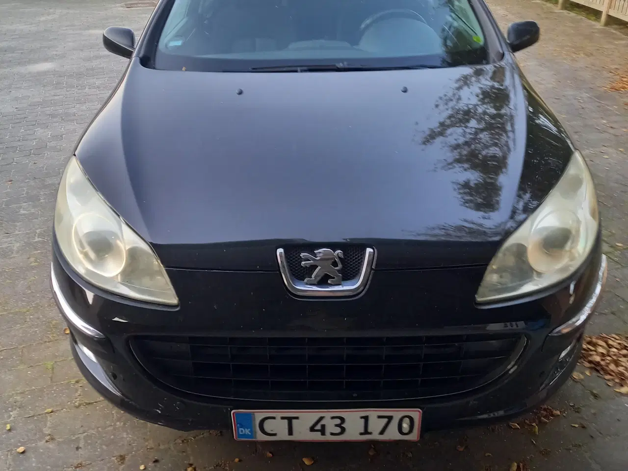 Billede 1 - peugeot 407 3.0 V6 AUT