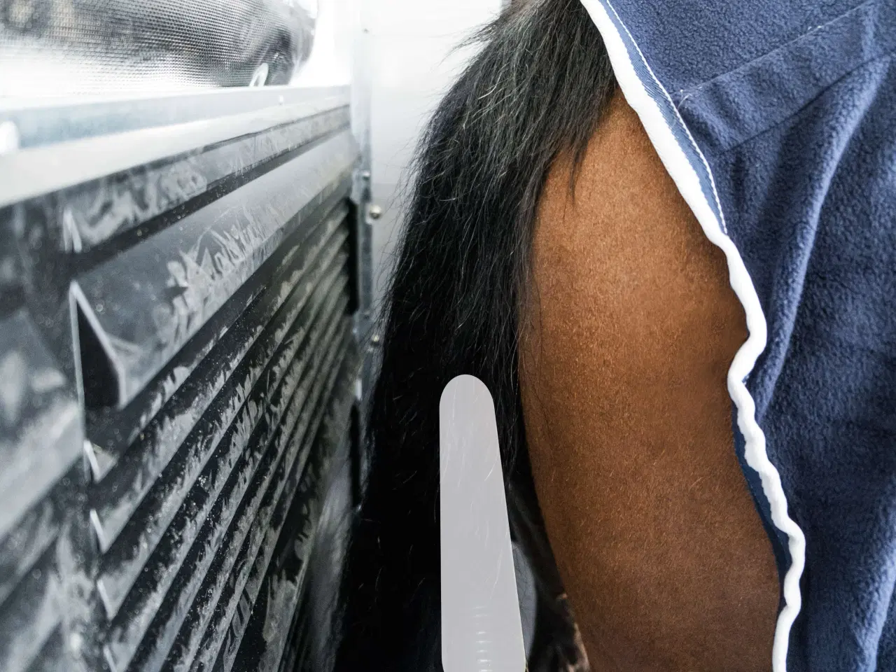 Billede 21 - Böckmann Portax L SR