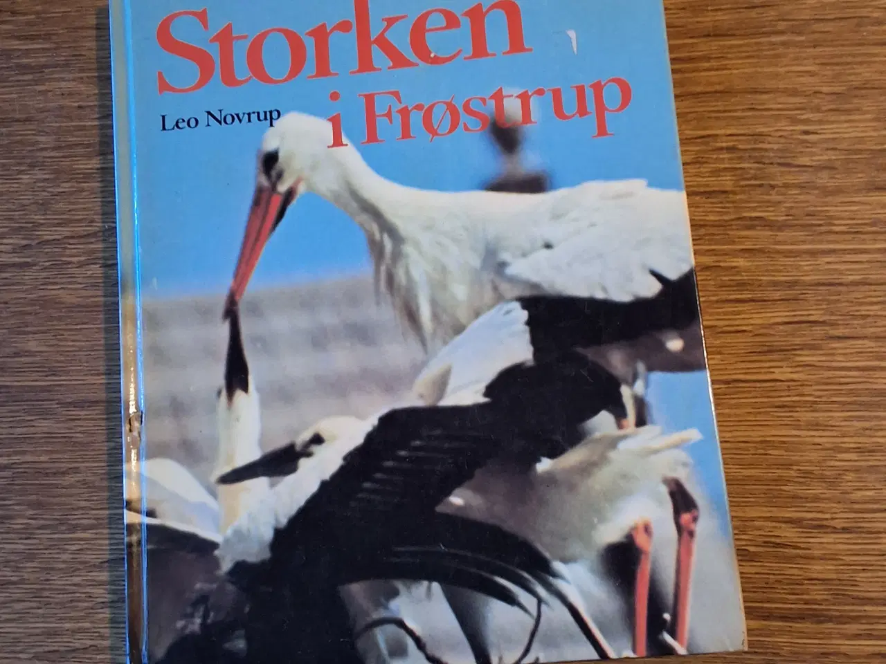 Billede 1 - STORKEN i Frøstrup, Leo Novrup