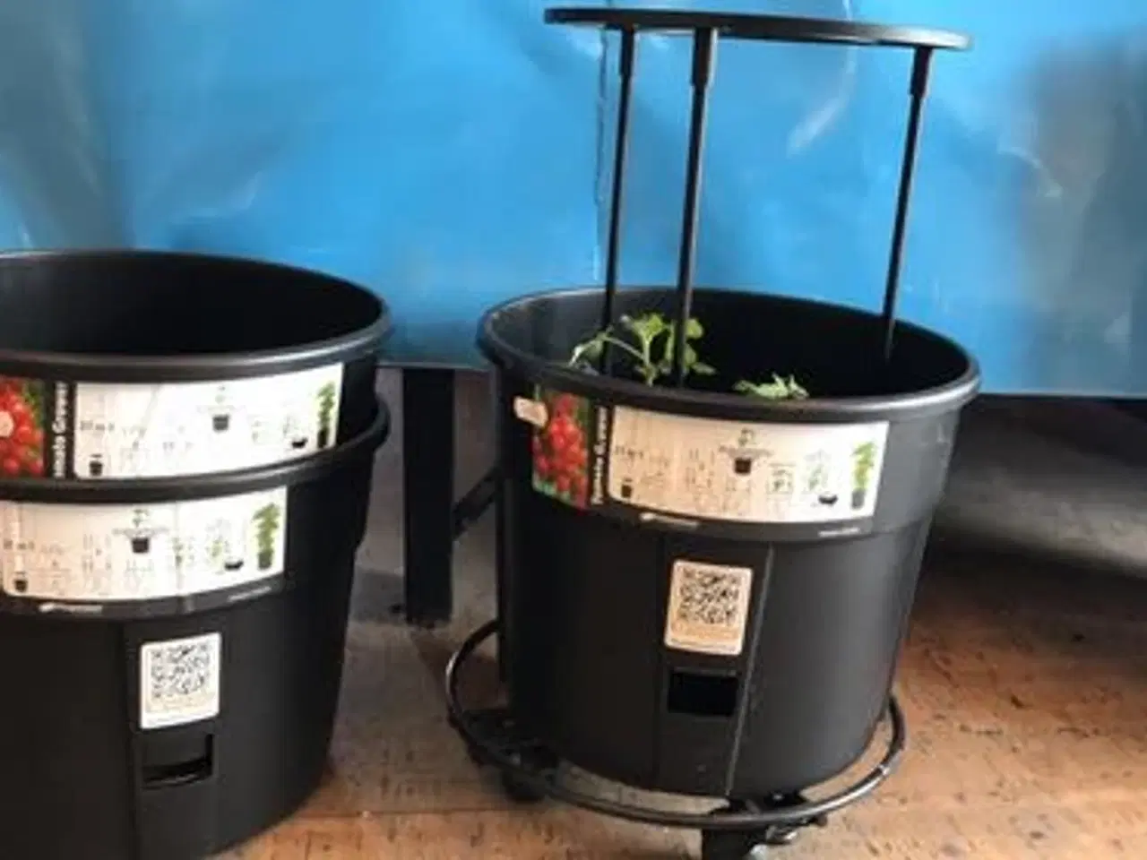 Billede 1 - Tomat Plantepotte
