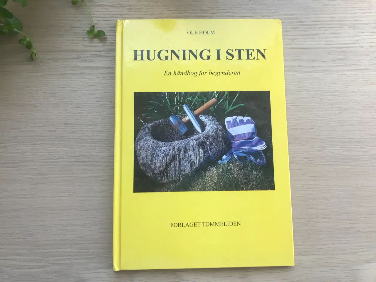 Billede 1 - Hugning i sten - en håndbog for begynderen