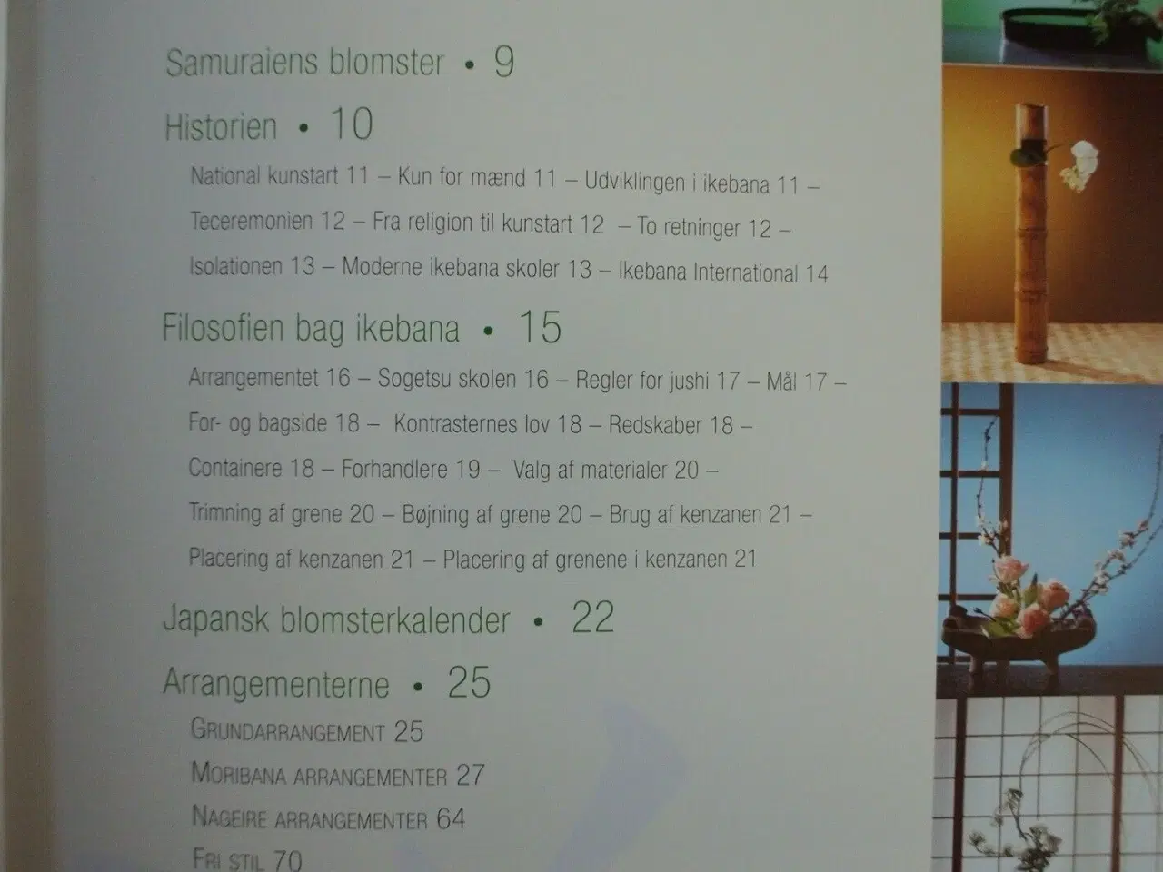 Billede 2 - ikebana, af irene schmidt