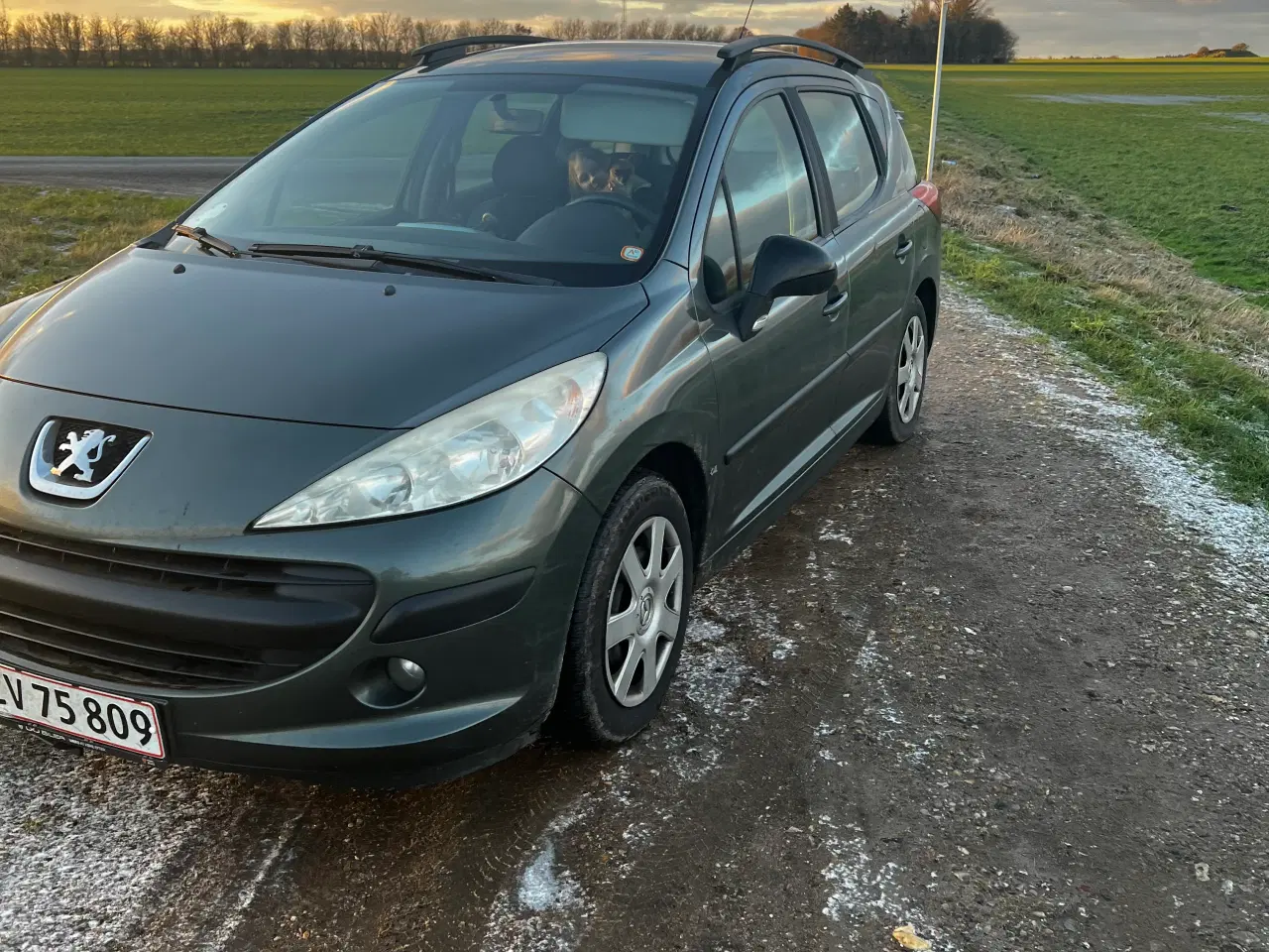 Billede 1 - Peugeot 207  1,6 HDI 16v SW 