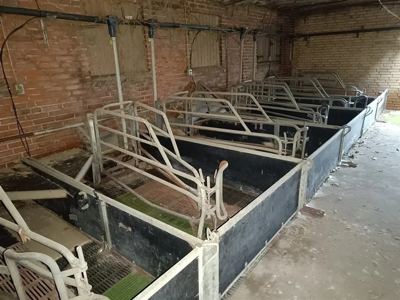 Billede 5 - - - - Sdr Vissing Farestier 36 stk.