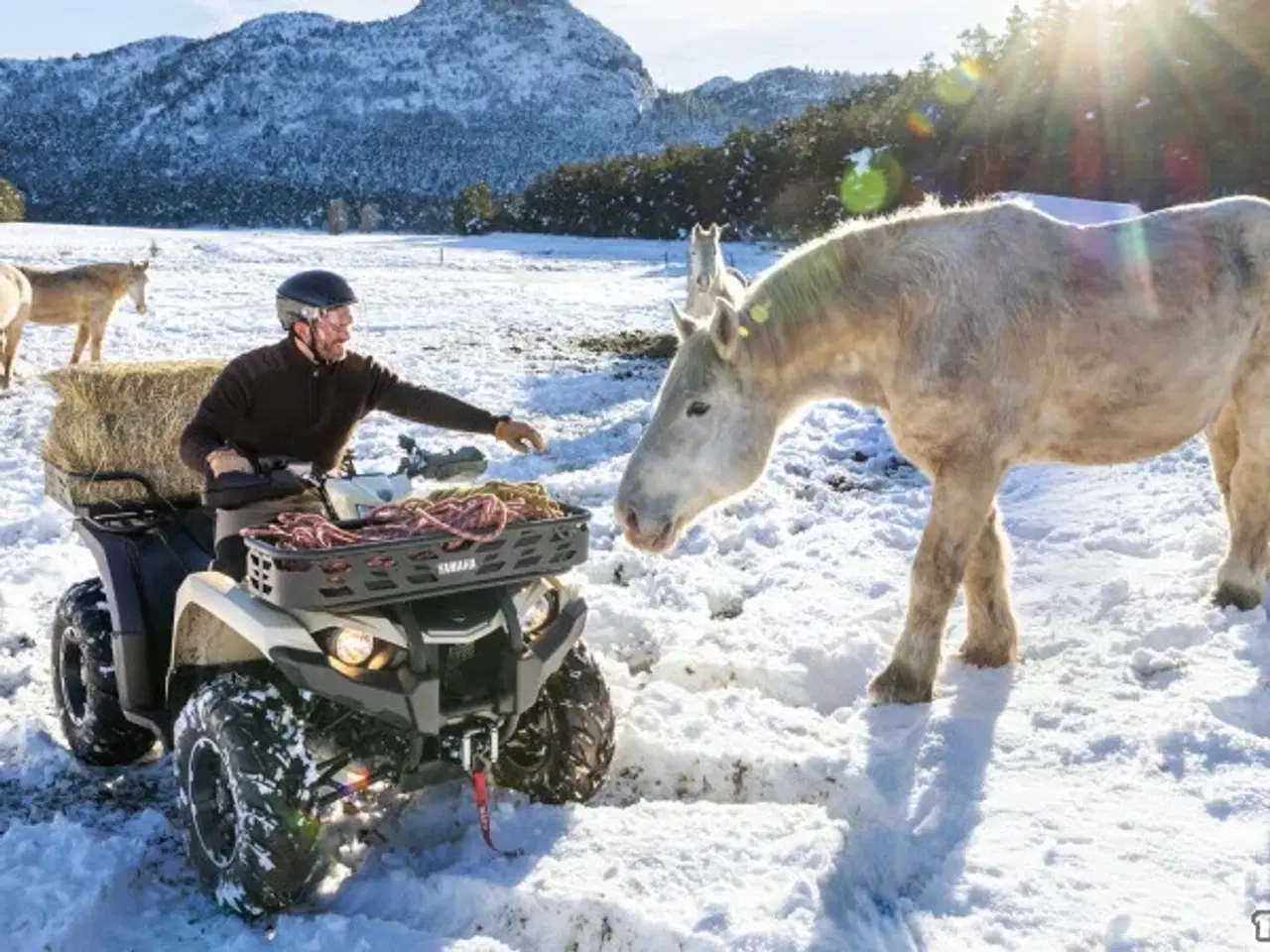 Billede 2 - Yamaha Kodiak 450 EPS Kiwami