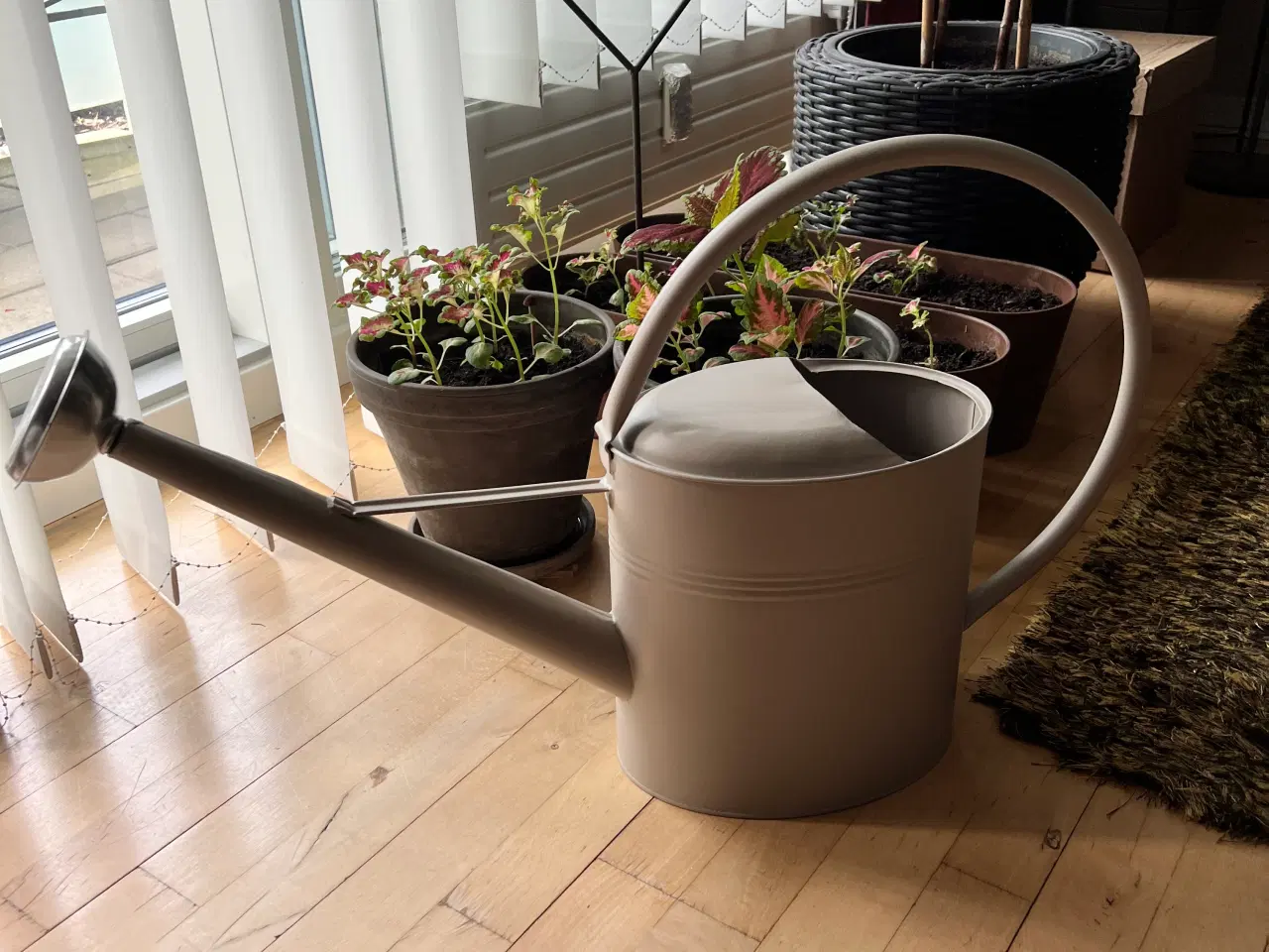 Billede 2 - VANDKANDE, 10 l