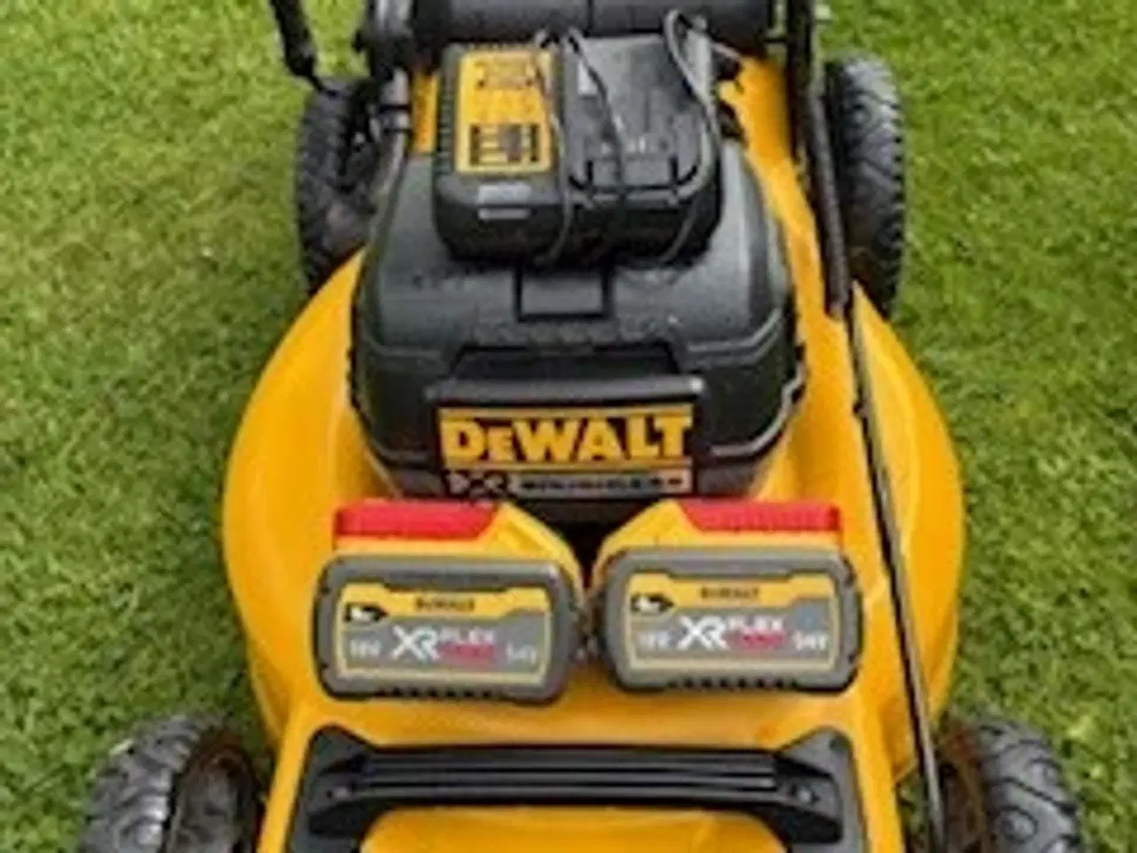 Billede 3 - Dewalt batteri plæneklipper