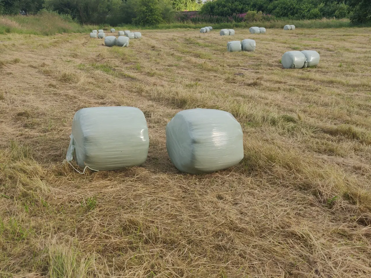 Billede 1 - Ø 60 Wrap baller