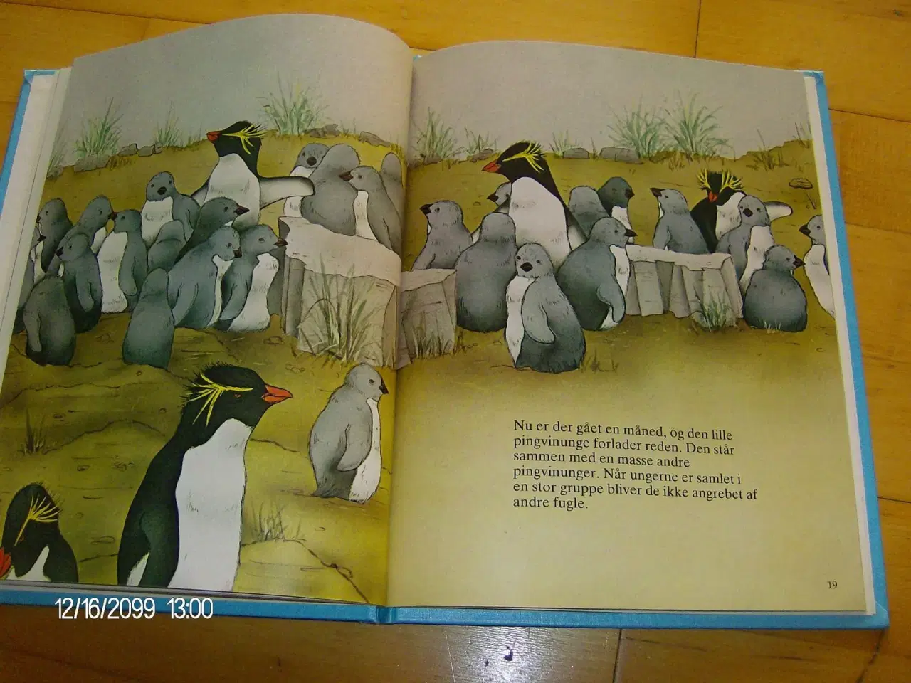 Billede 2 - Pingvinen 