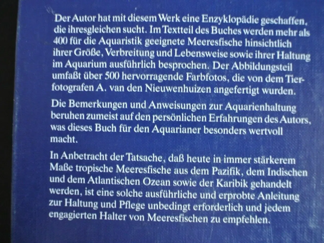 Billede 2 - tropische zierfische im meerwasser aquarium, von f