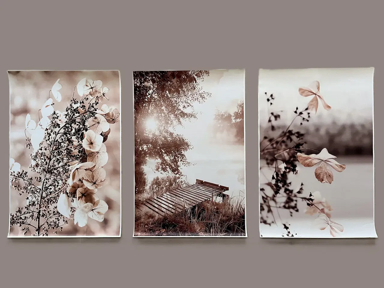 Billede 1 - Billeder, Lærredstryk, Tryk, Plakater, 40 x 60 cm