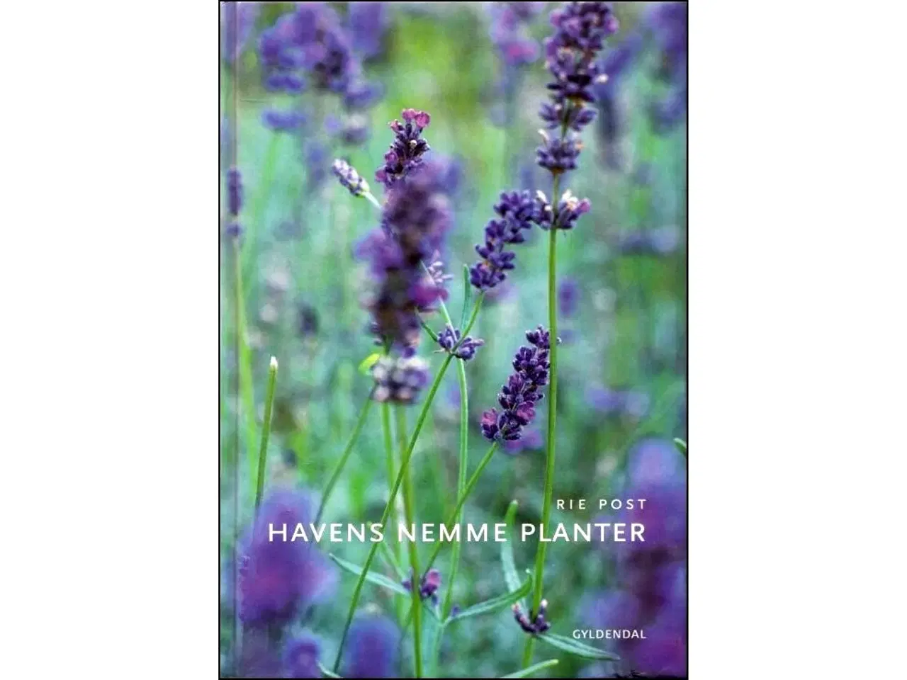 Billede 1 - Havens nemme Planter