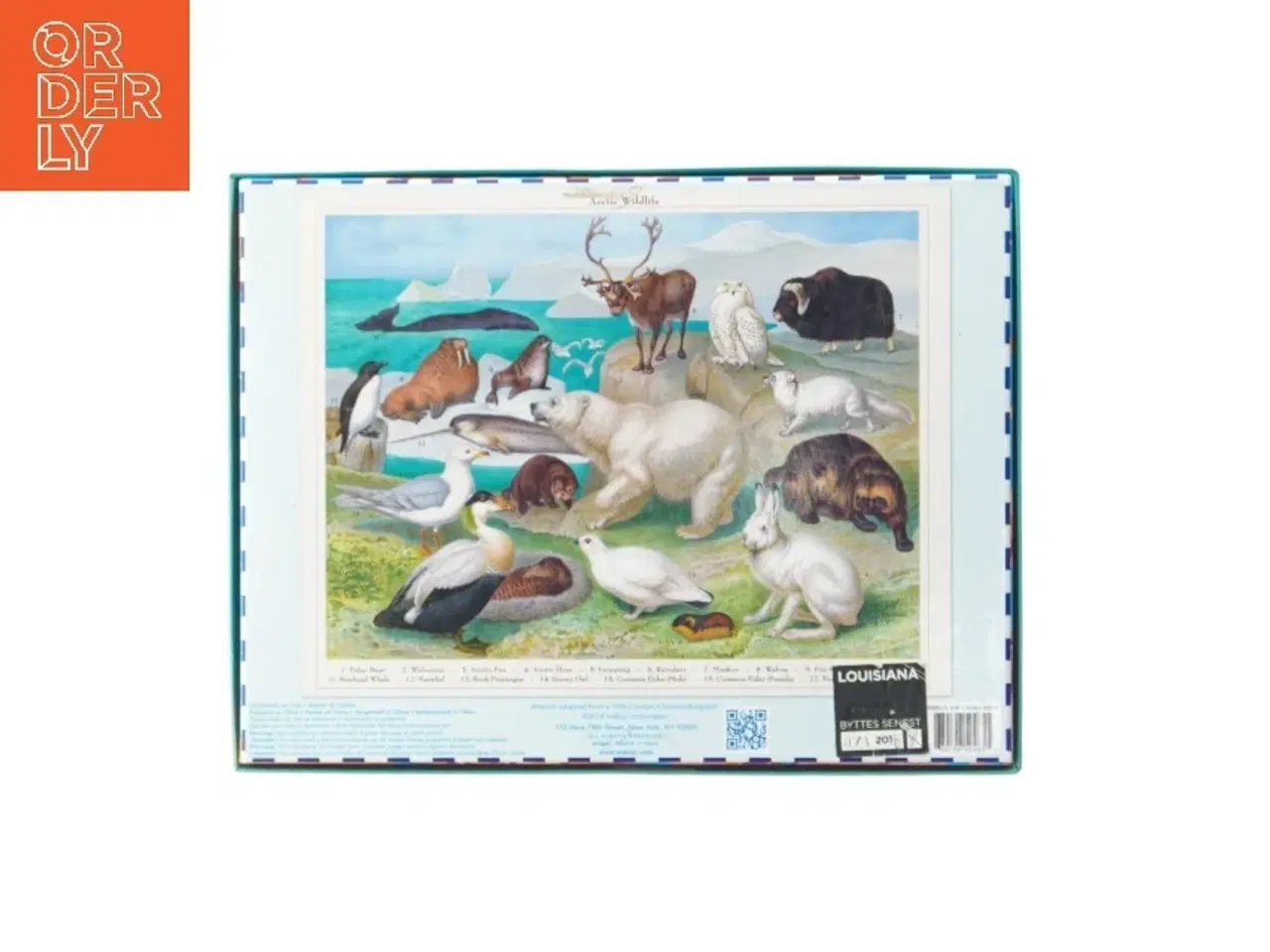Billede 5 - 208 brikker puslespil med arktisk dyreliv fra eeBoo (str. 46x61 cm)