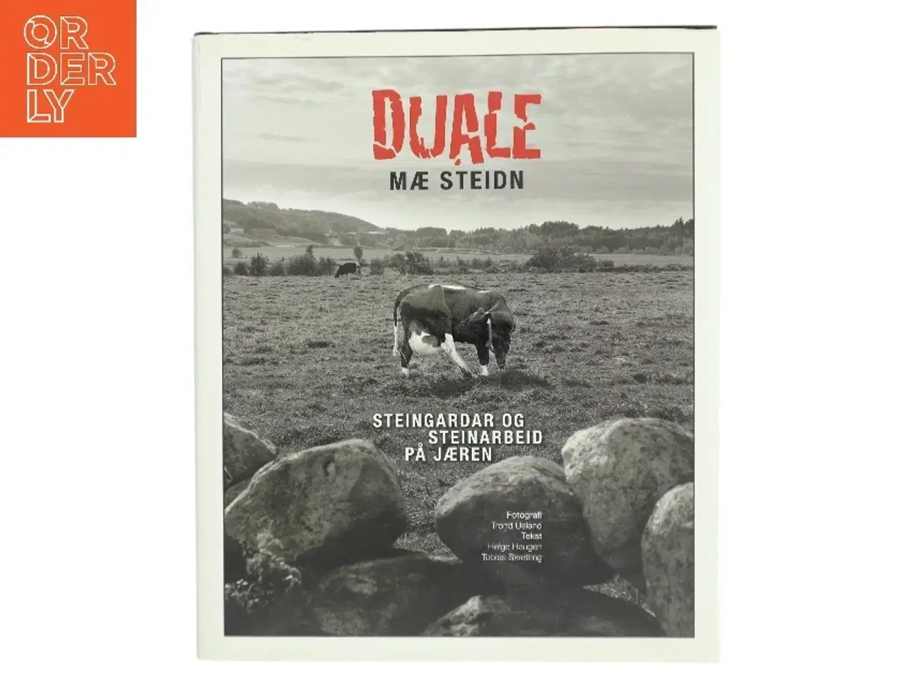 Billede 1 - Duale mæ Steidn af Helge Haugen (Bog)