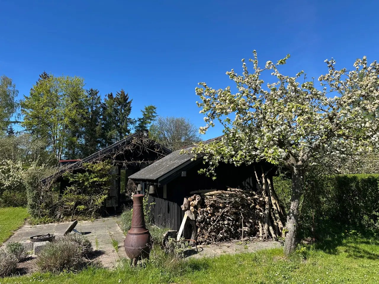 Billede 15 - Skøn kolonihave med fantastisk beliggenhed 