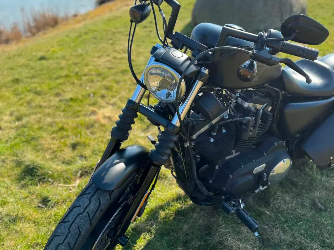 Billede 5 - Harley Davidson Sportster XL883N