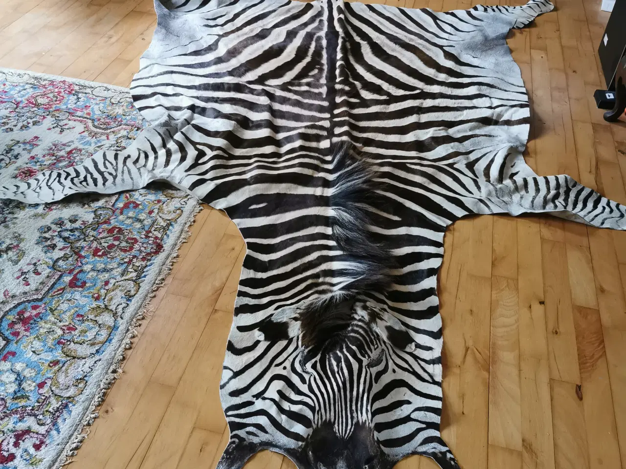 Billede 2 - zebraskind