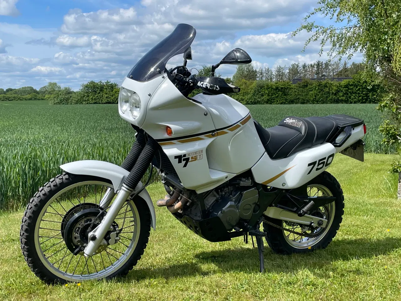 Billede 3 - Yamaha xt 750 super tenere