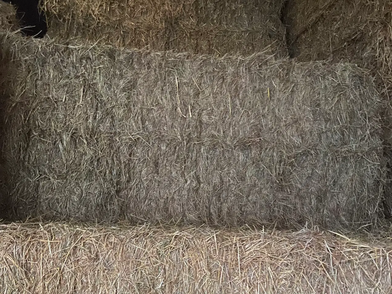 Billede 1 - Førsteklasses hø til heste 