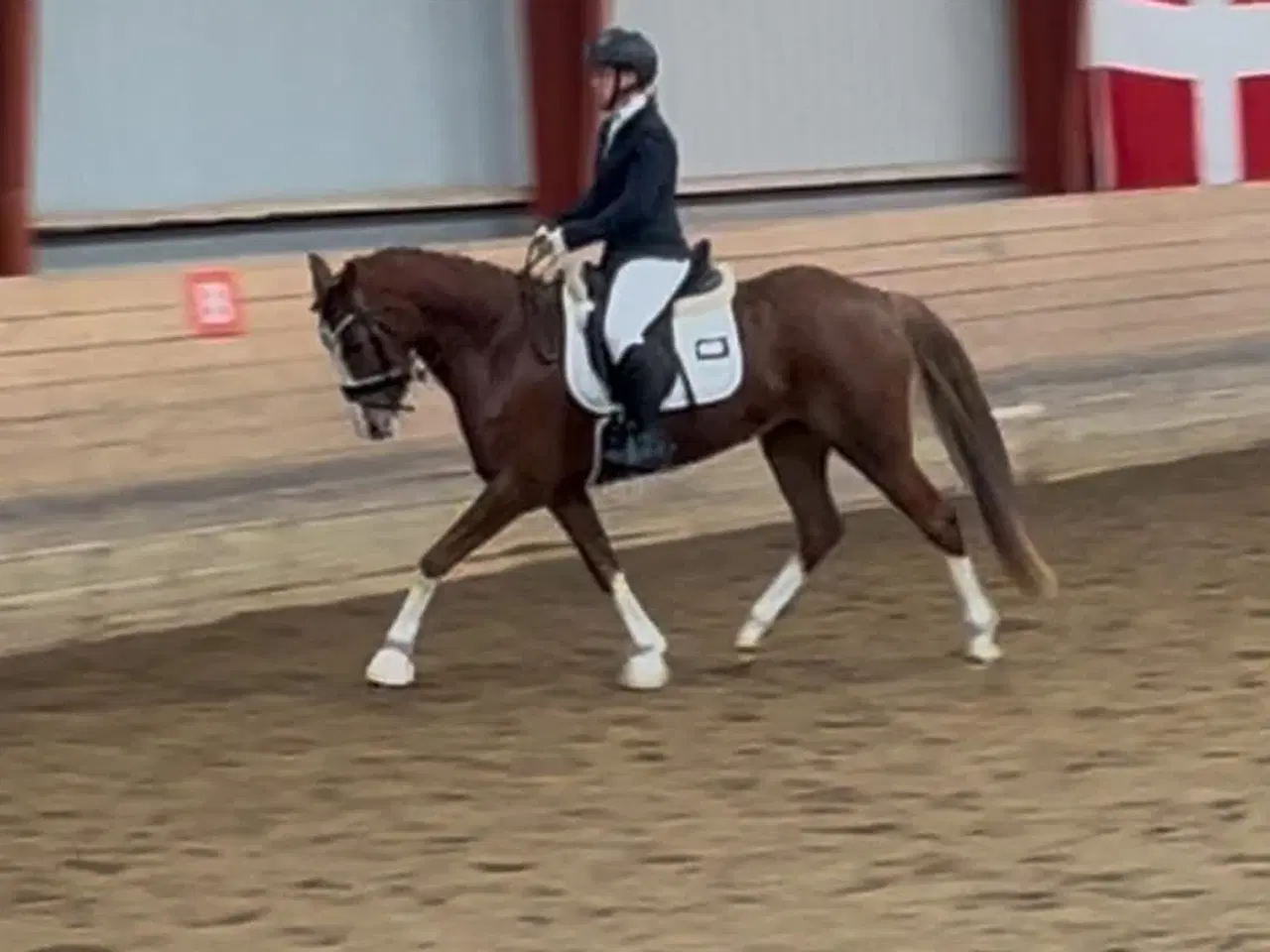 Billede 5 - Pony med Wow effekt