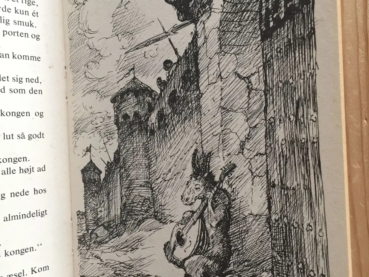 Billede 4 - Guldbøflen