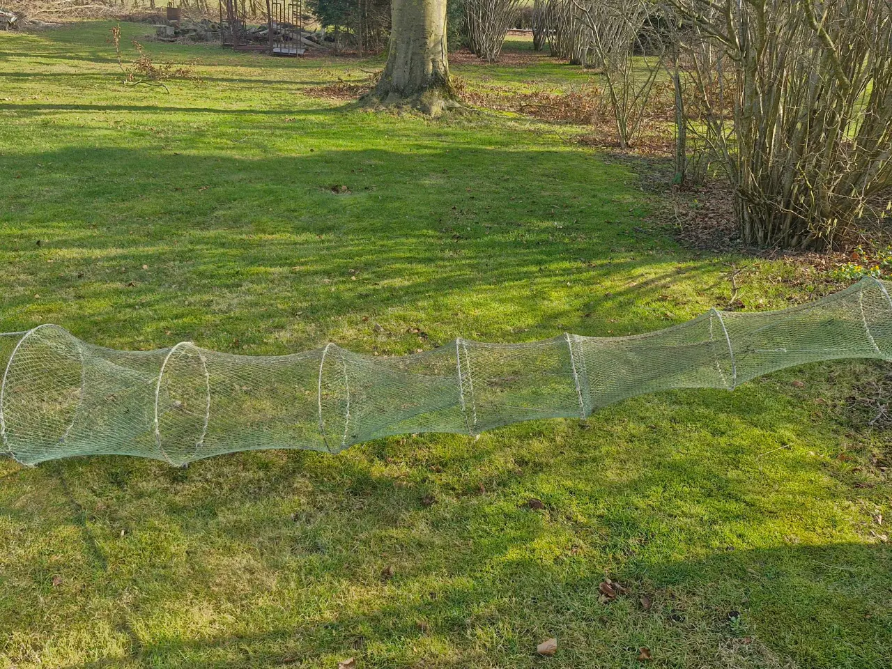 Billede 2 - Dobbelt åleruse