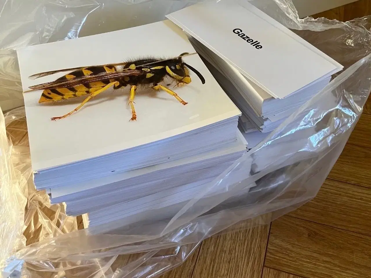 Billede 2 - Ikon/navnekort