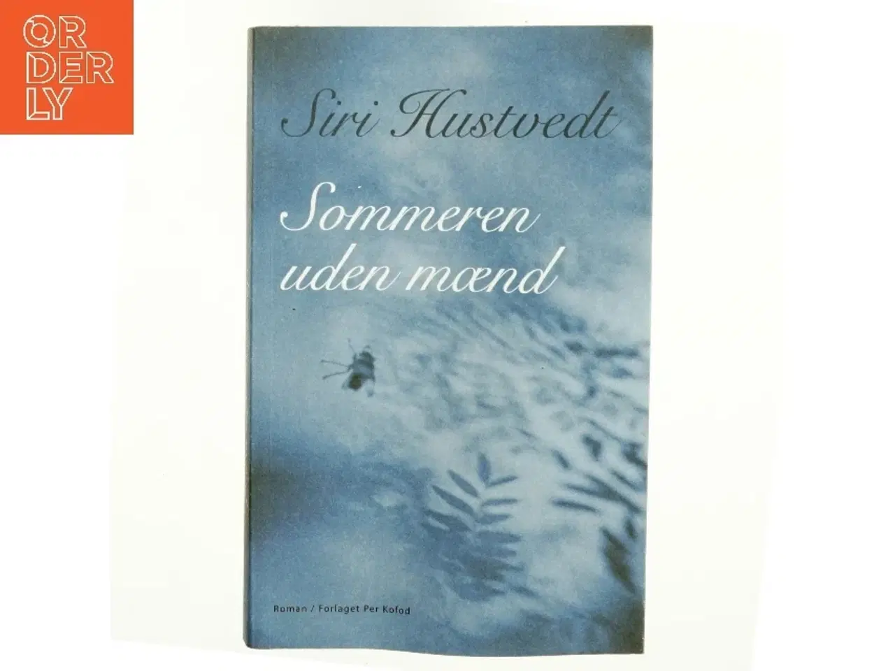 Billede 1 - Sommeren uden mænd : roman af Siri Hustvedt (Bog)