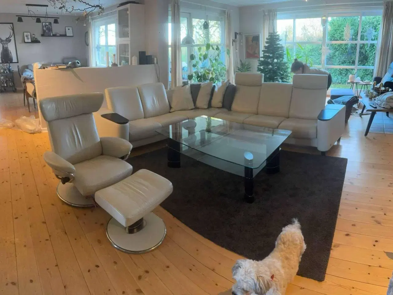 Billede 1 - Stressless sofa og lænestol 