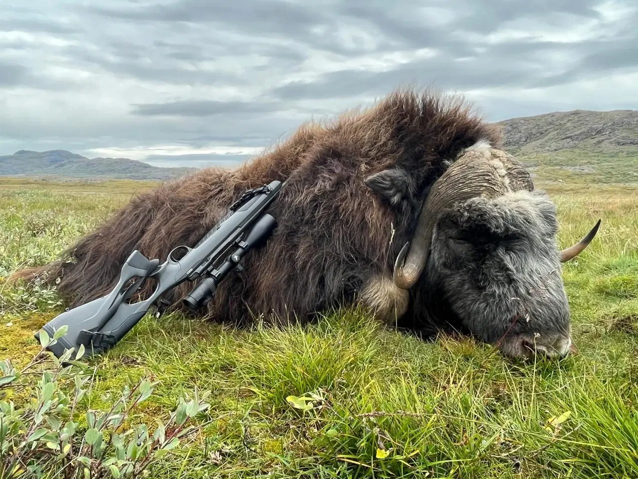 Billede 1 - Sako S20 300 win mag