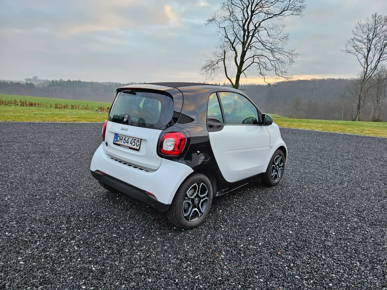 Billede 2 - Smart Fortwo EQ 3d