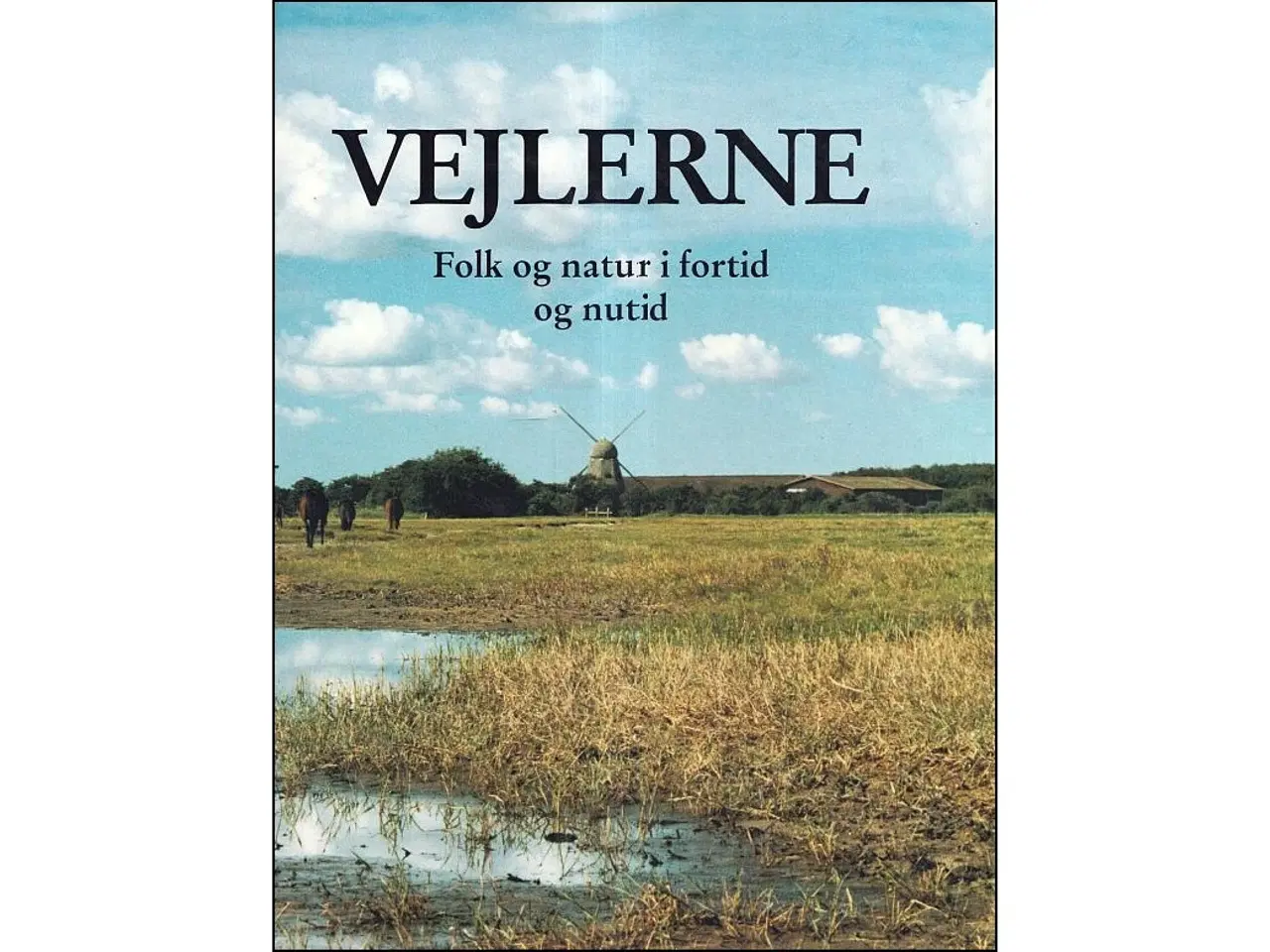 Billede 1 - Vejlerne - Folk og natur i fortid og nutid