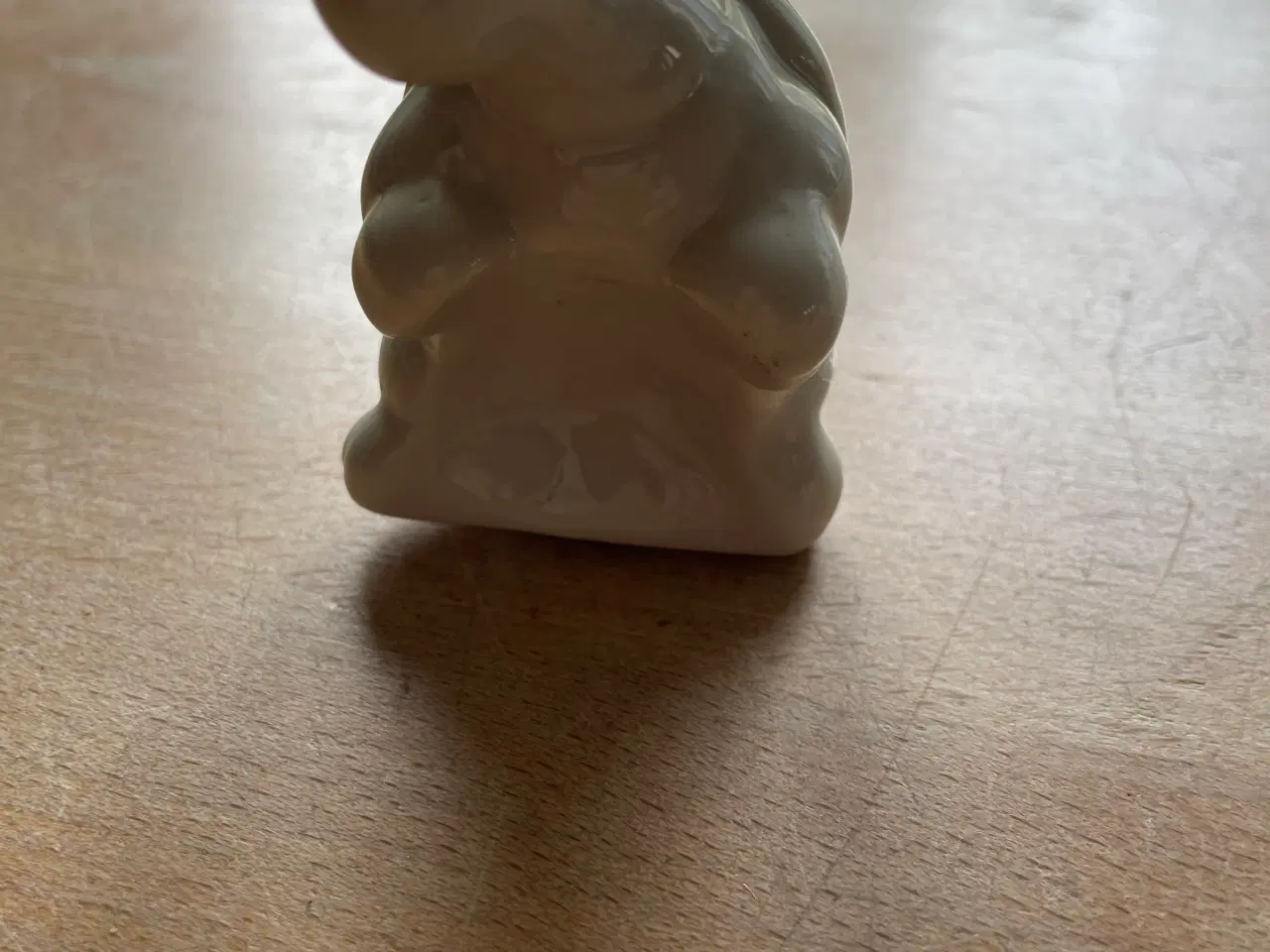 Billede 4 - Saltbøsse skildpadde