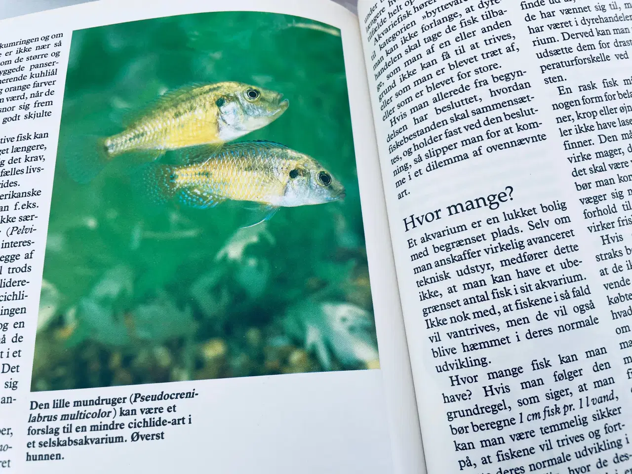 Billede 7 - Akvarie bogen + Akvarie håndbogen 
