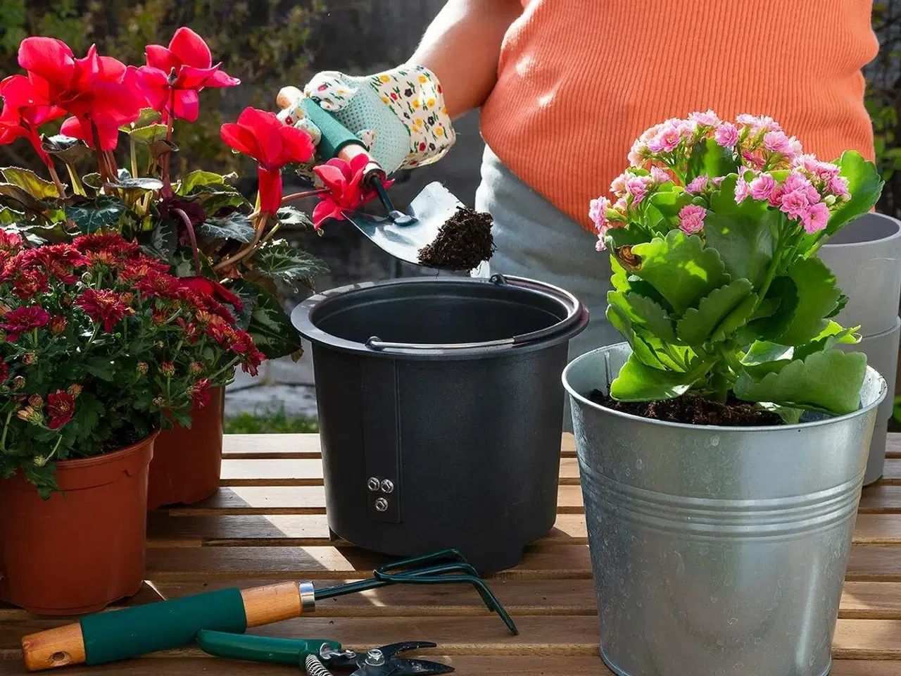 Billede 2 - Ewooster elektrisk kompostkværn til køkken - 3 l, 550 W