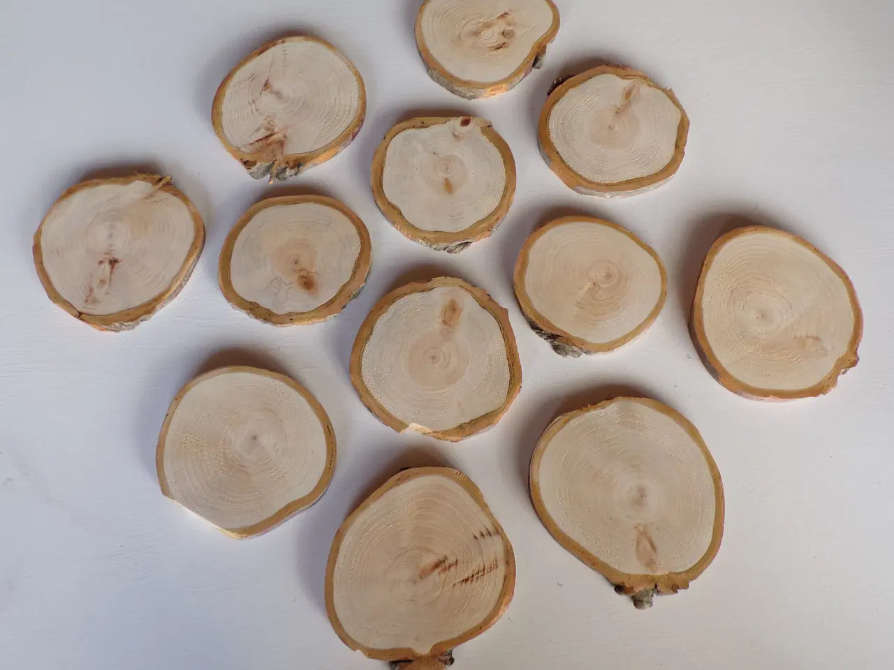 Billede 1 - NYE Thuja Træskiver med bark 10-11,5 cm