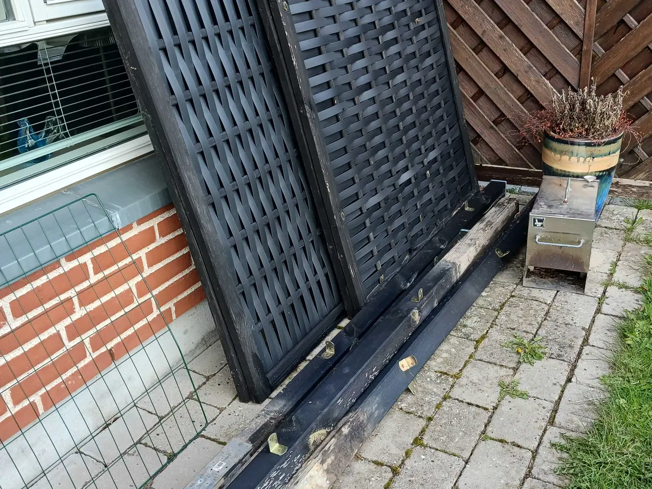 Billede 1 - Have hegn