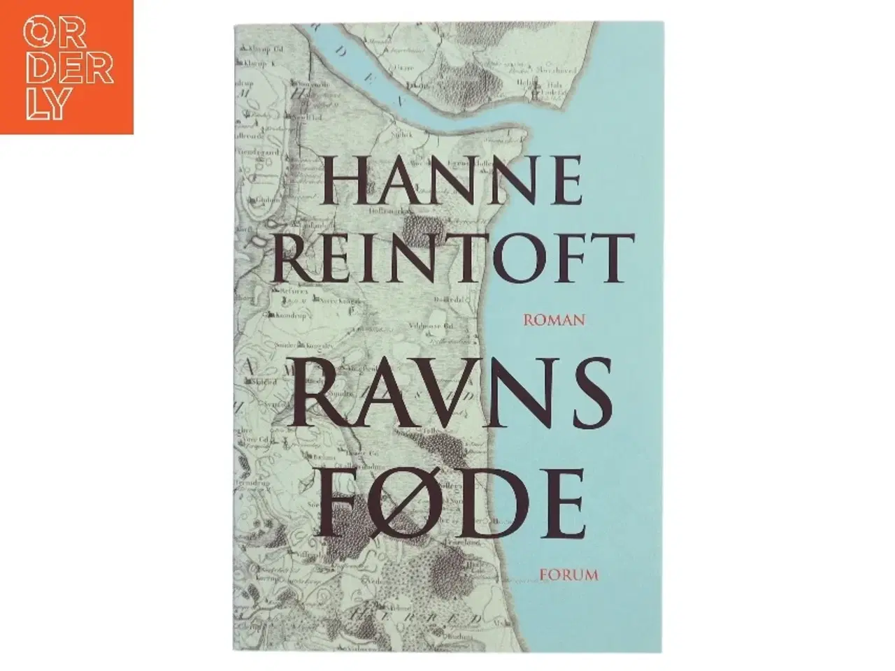 Billede 1 - Ravns føde : roman af Hanne Reintoft (Bog)