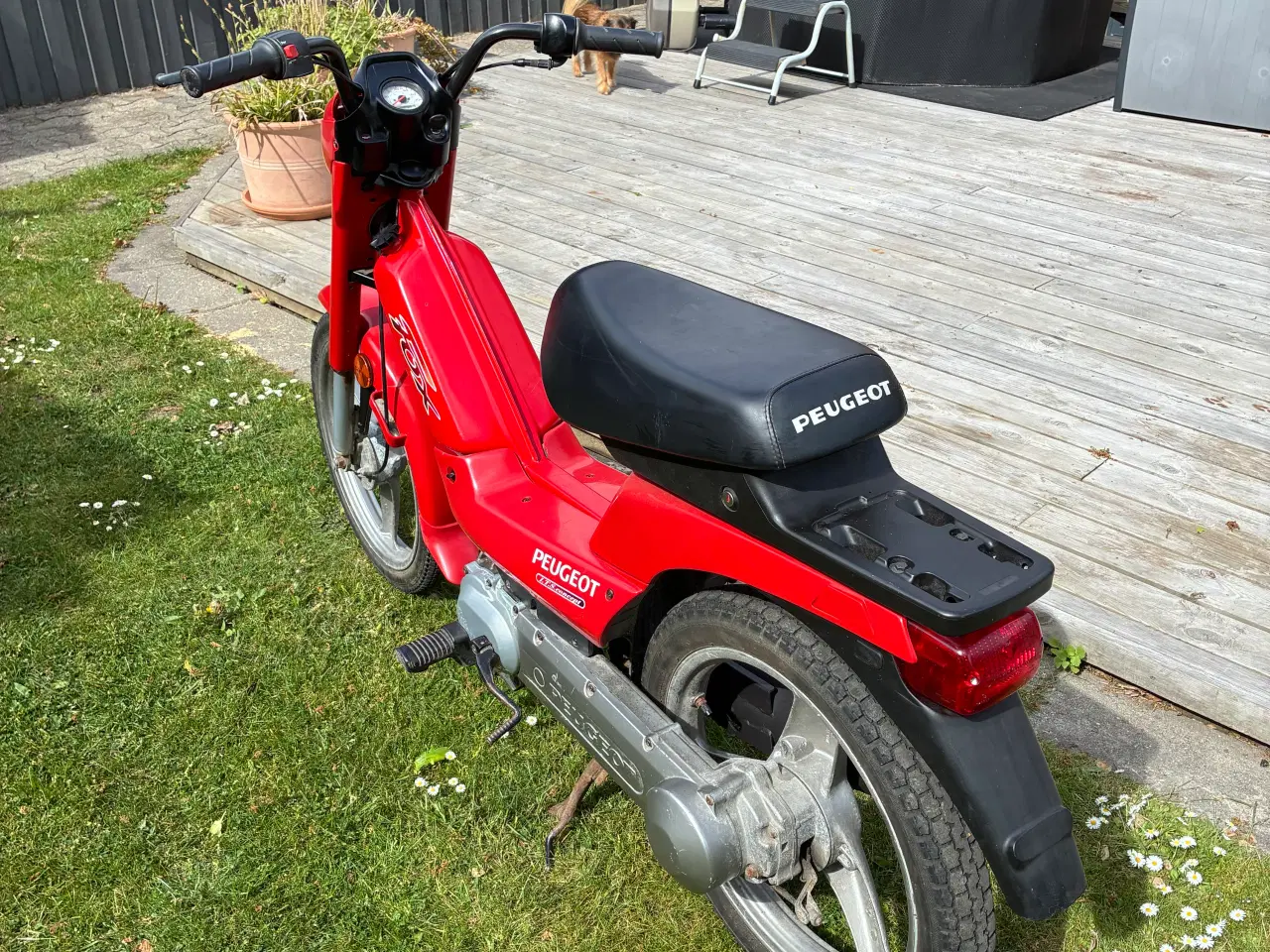Billede 1 - 30 knallerter 