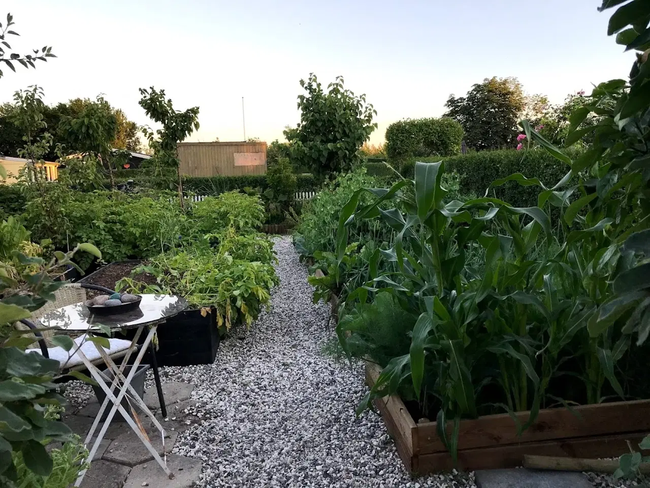 Billede 15 - Kolonihavehus - Randers