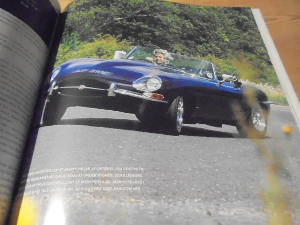 Billede 10 - Legenden om Jaguar - Christian Frost