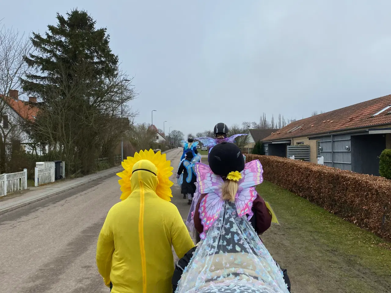 Billede 10 - Jake LF – 6 års Dartmoor vallak (ca. 126 cm)