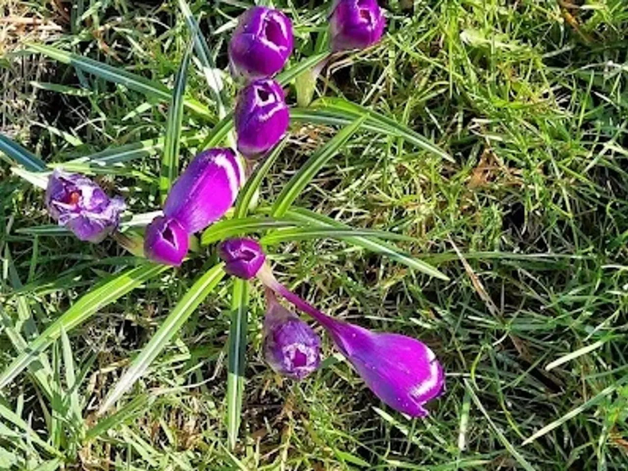 Billede 17 - Jagt ejendom på 11,2Ha, særligt natur og egen sø.