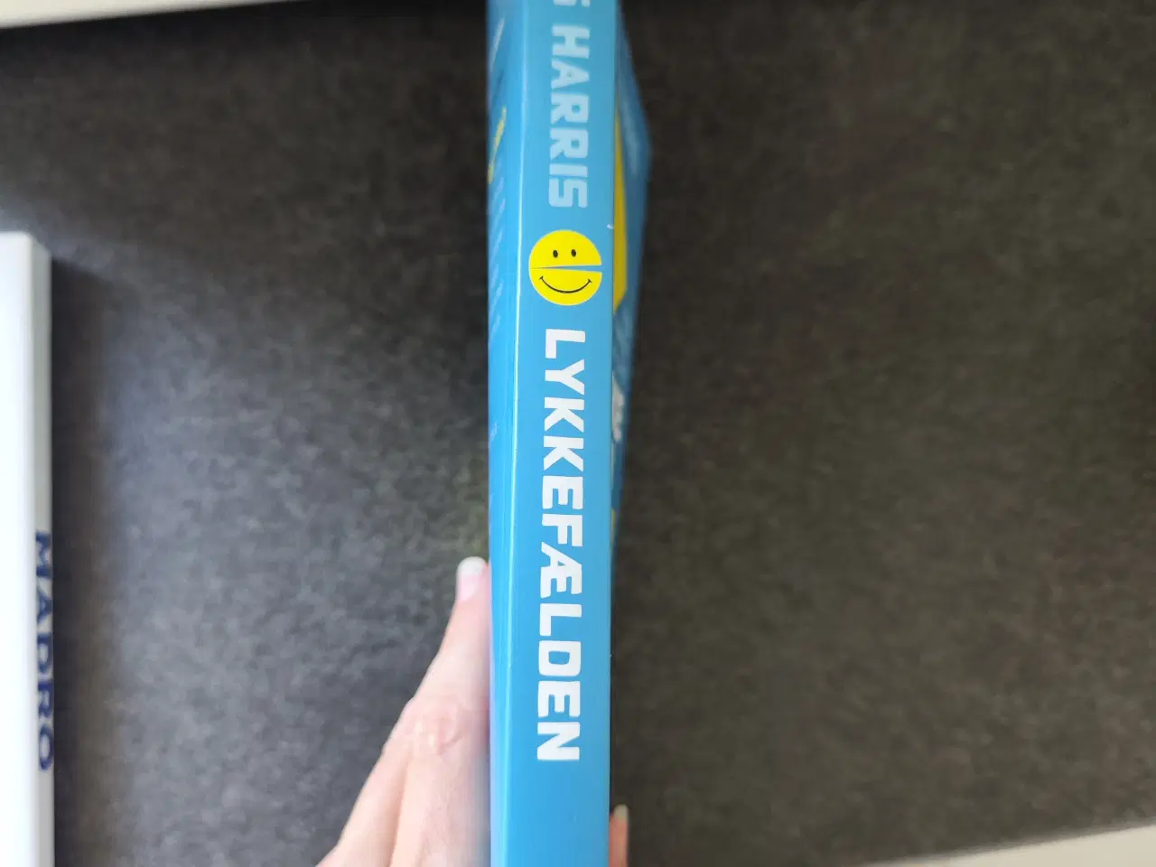Billede 3 - Lykkefælden af Russ Harris 