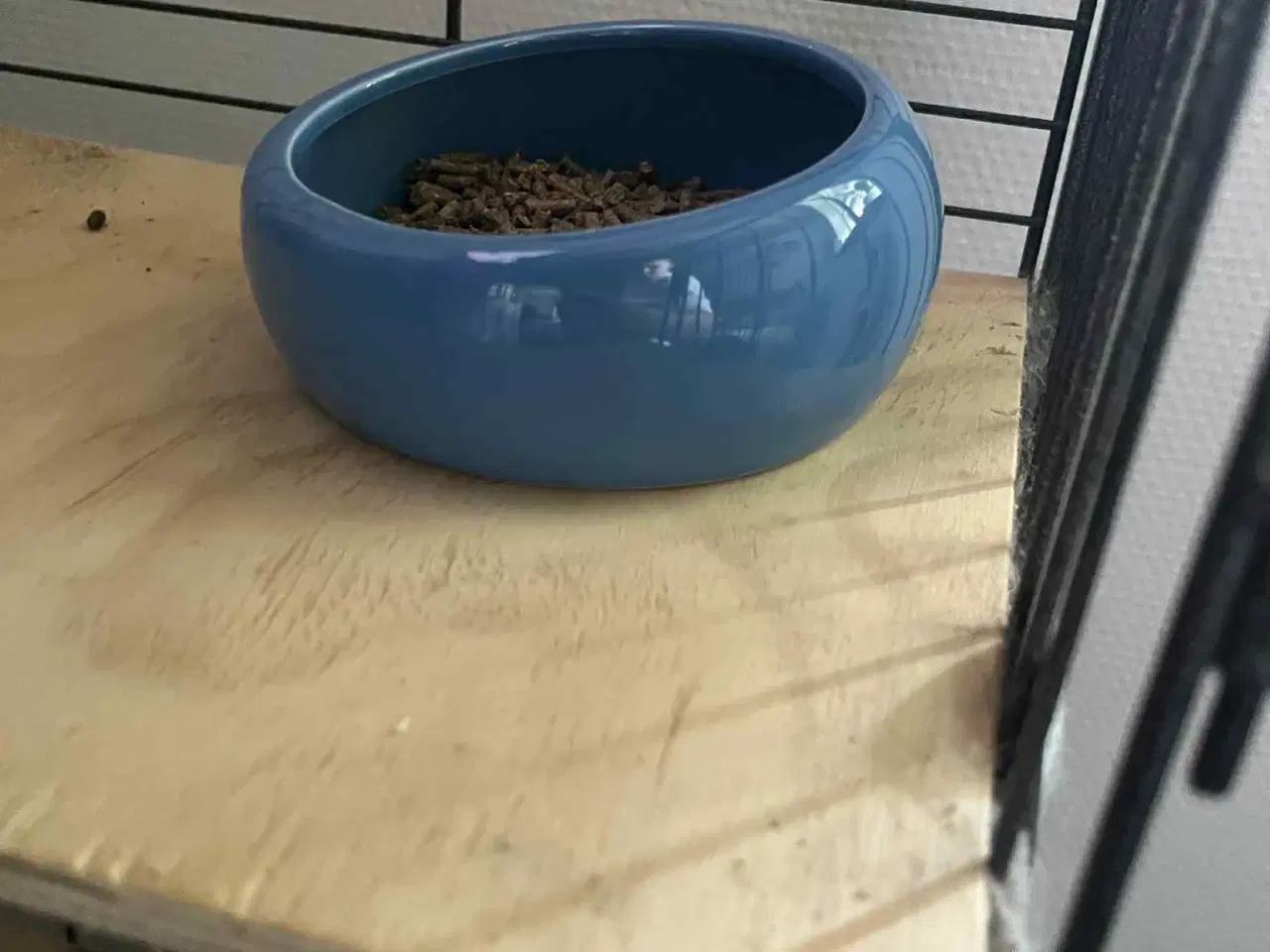Billede 8 - Chinchilla med bur