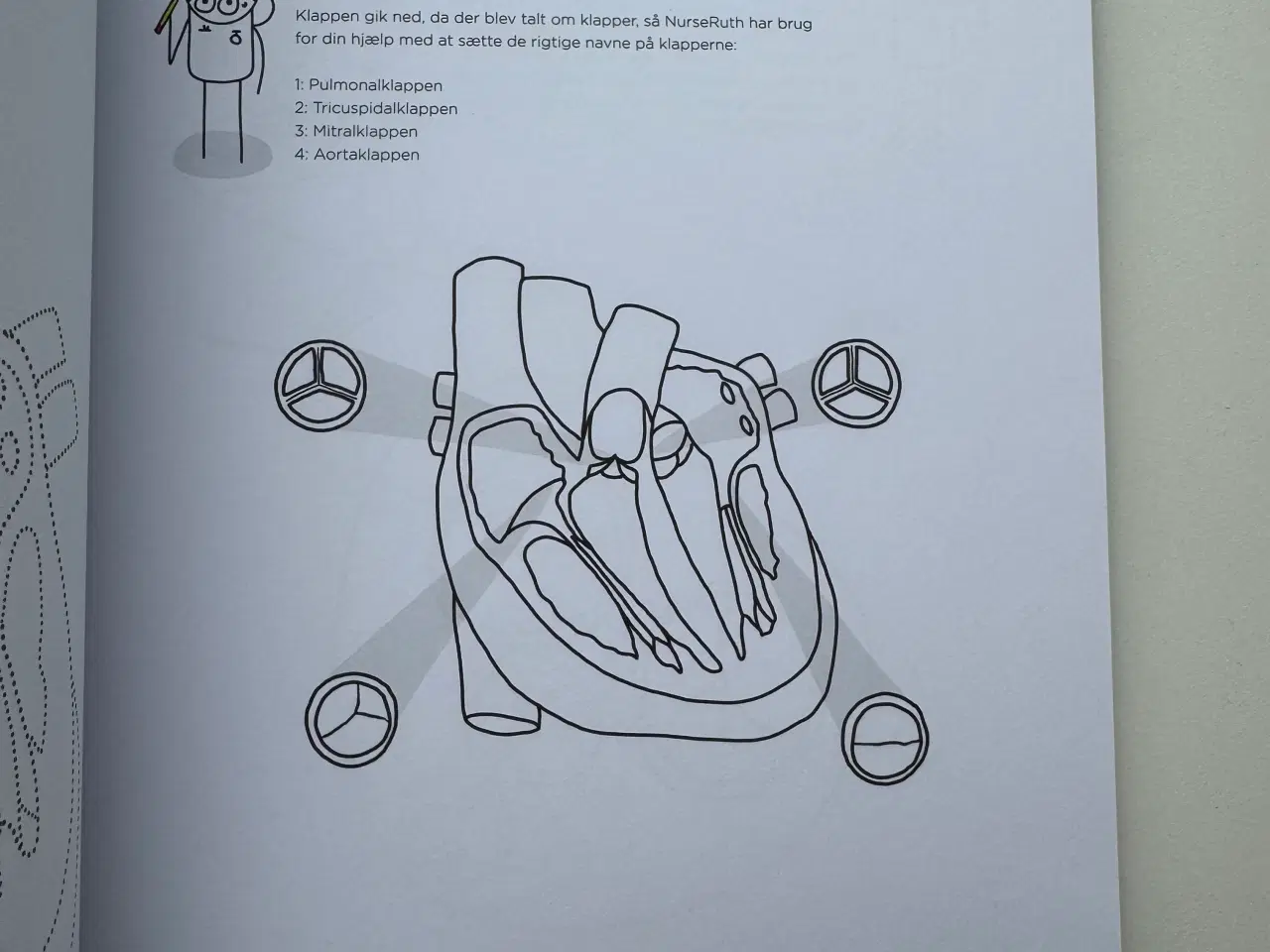 Billede 2 - Anatomisk malebog 