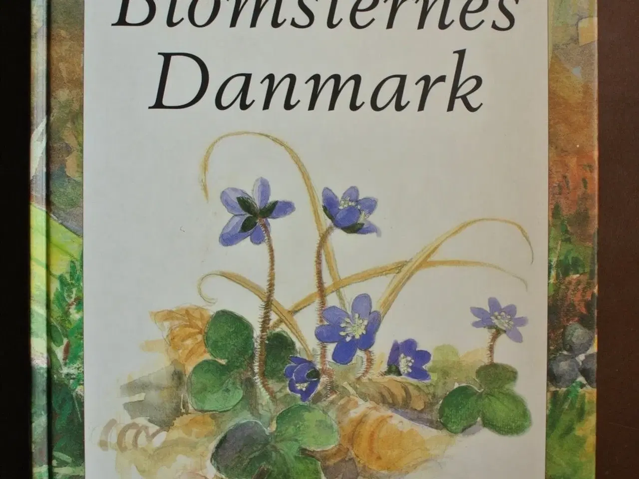 Billede 1 - blomsternes danmark, af jens gregersen og bernt lø