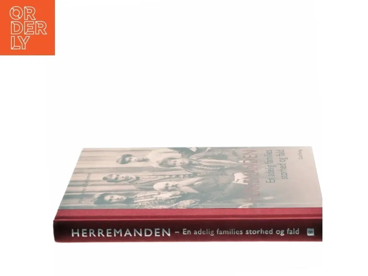 Billede 2 - Herremanden : en adelig families storhed og fald af Jesper Laursen (f. 1951) (Bog)