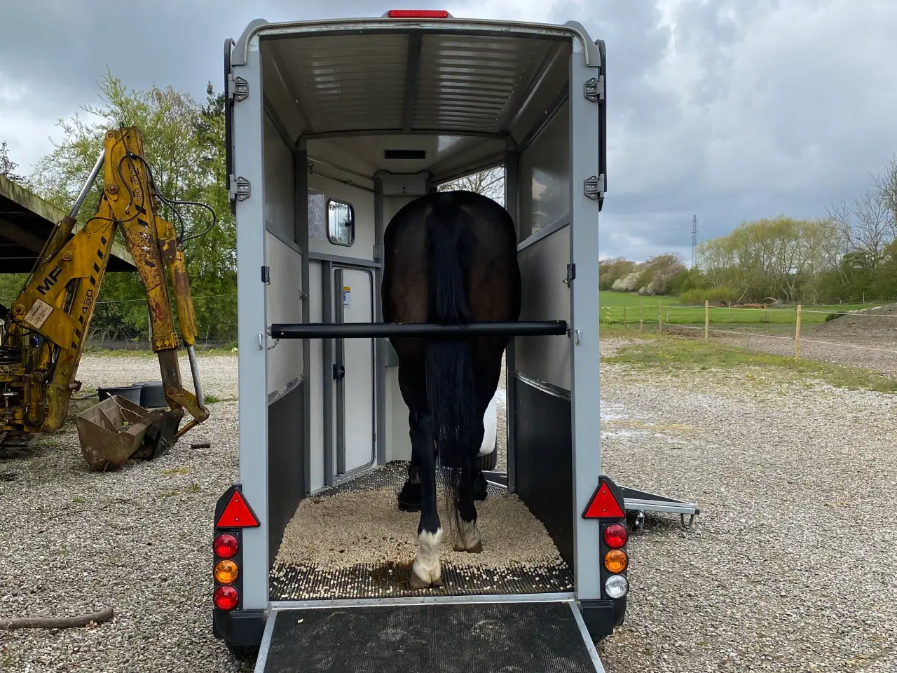 Billede 5 - IforWilliams HB403 1 1/2 hestetrailer