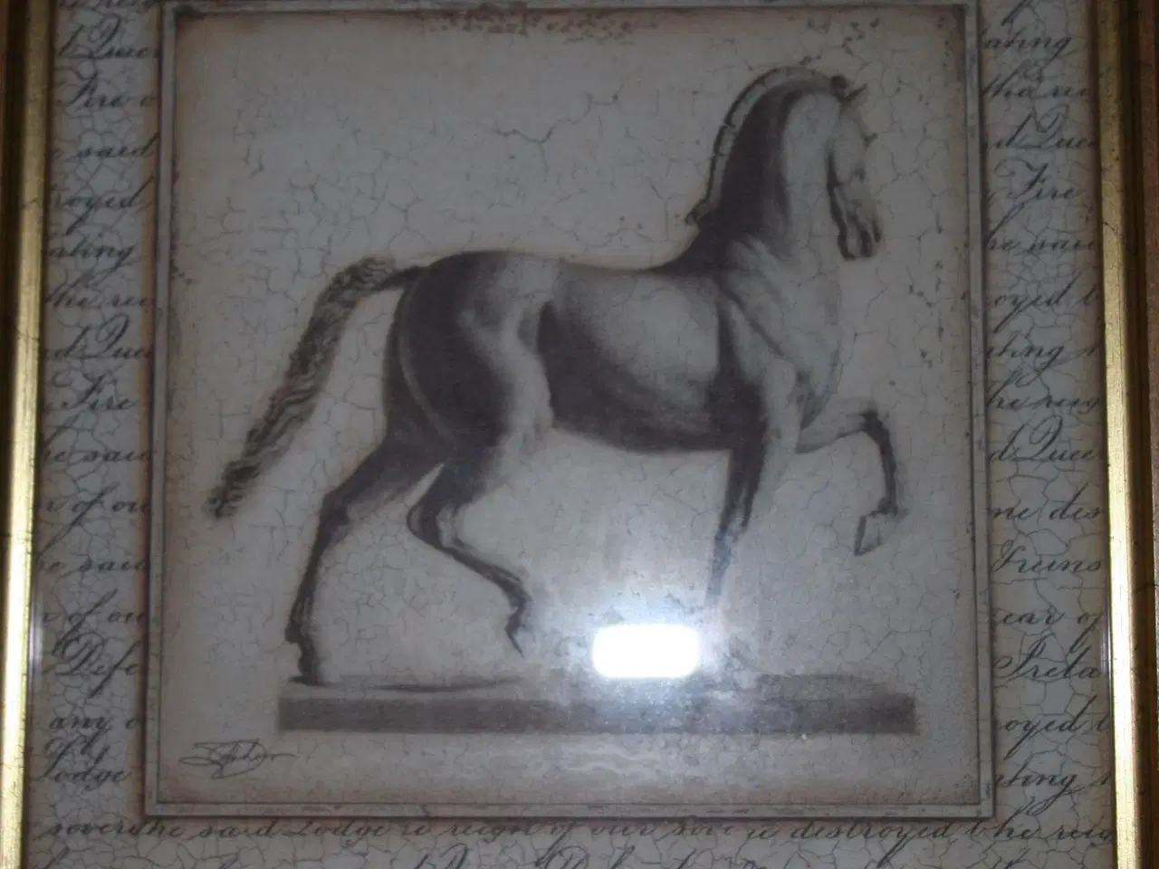 Billede 3 - Billede med hest